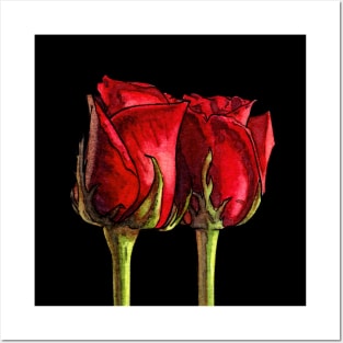 Red roses Posters and Art